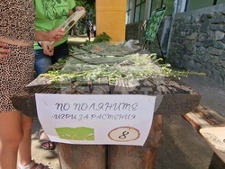 Троян - с. Черни Осъм - Природонаучен музей - Ден на рейнджъра 2025