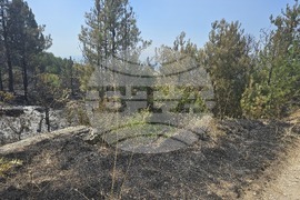 Село Илинденци - пожар