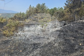 Село Илинденци - пожар