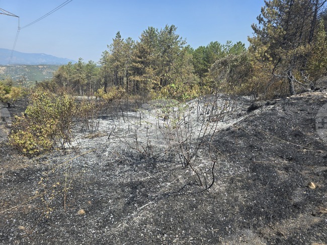 Петима души са изведени от вилна зона над село Илинденци, каза за БТА кметът на Струмяни Емил Илиев