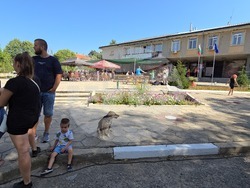 Село Гавраилово - празник „Златна праскова“