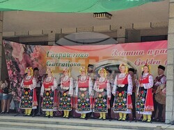 Село Гавраилово - празник „Златна праскова“