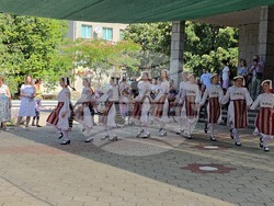 Село Гавраилово - празник „Златна праскова“