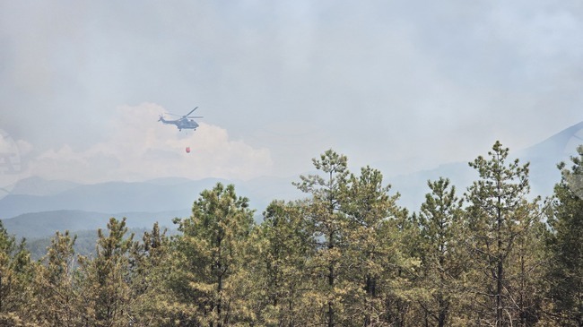 Major Power Line Supplying Greece Shut Down Due to Wildfire near Ilindentsi, SW Bulgaria
