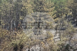 Село Илинденци - пожар