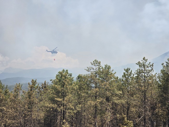 Трябва да бъдем благодарни на нашите военновъздушни сили, както и на механизма на ЕС за борбата с пожарите, каза Николай Николов