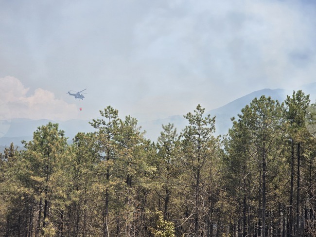 Два хеликоптера „Кугър“ оказват помощ при големия високопланински пожар в района на Струмяни