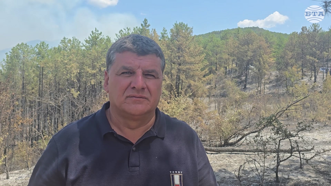 Магистралният електропровод, който минава през района на село Илинденци, е спрян заради пожара, каза кметът на Община Струмяни Емил Илиев