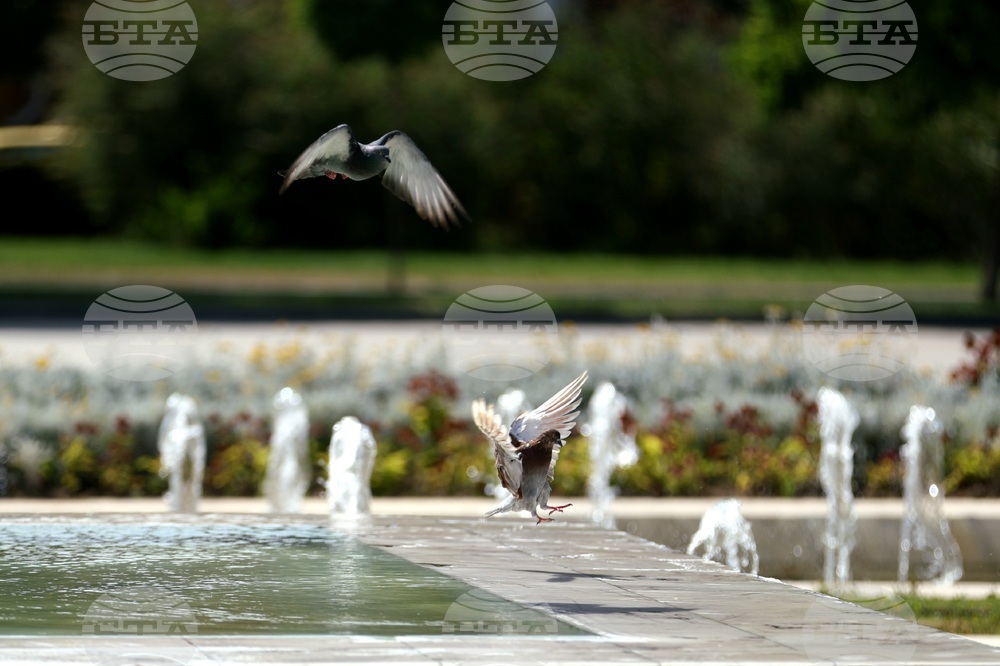 Yellow Warning for High Temperatures Issued across 21 Regions 