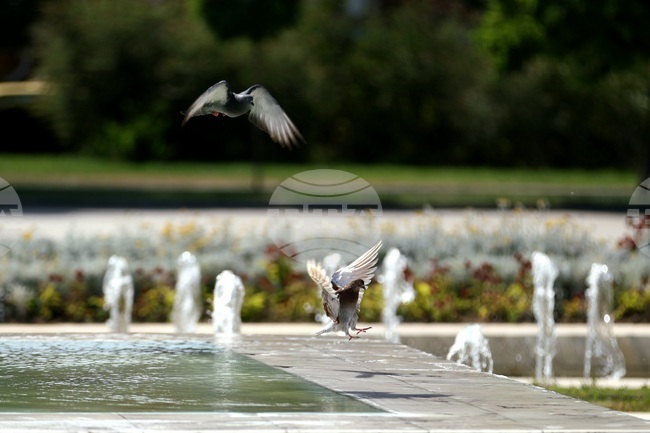 Yellow Warning for High Temperatures Issued across 21 Regions 