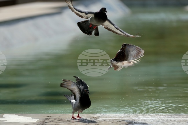 The Weather on September 3