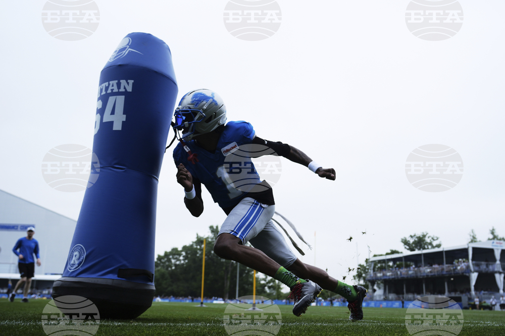 Lions Football