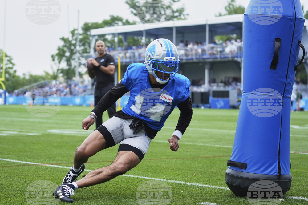 Lions Football