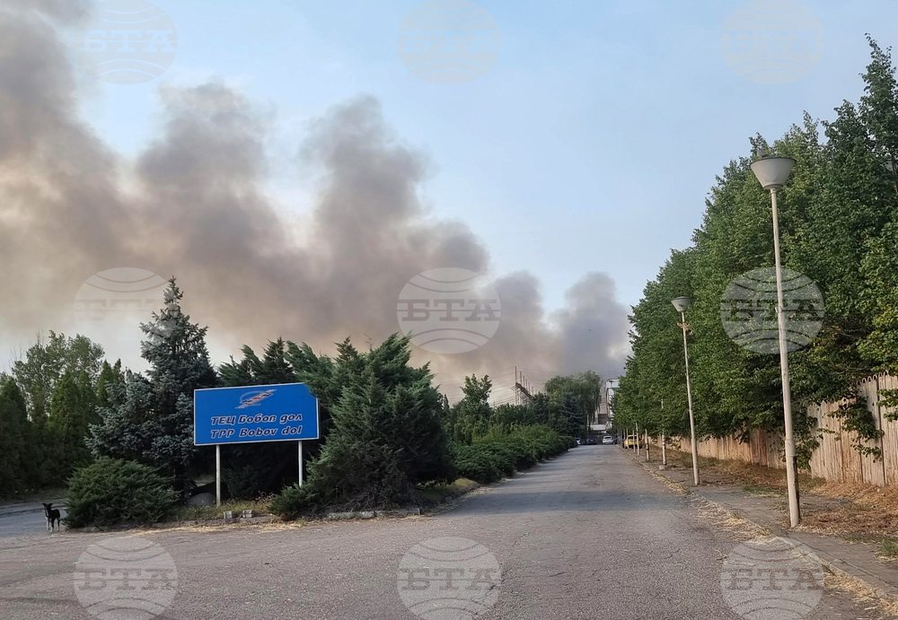 Горят вагони със слама в близост до ТЕЦ "Бобов дол"