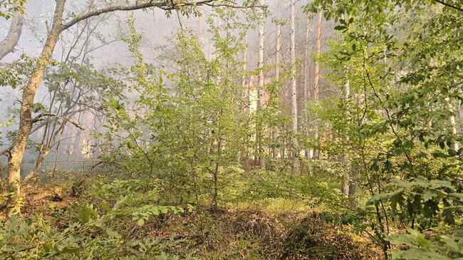 Горски пожар затвори пътя между кръстовище "Петолъчката" и село Градец, очаква се хеликоптер за гасене