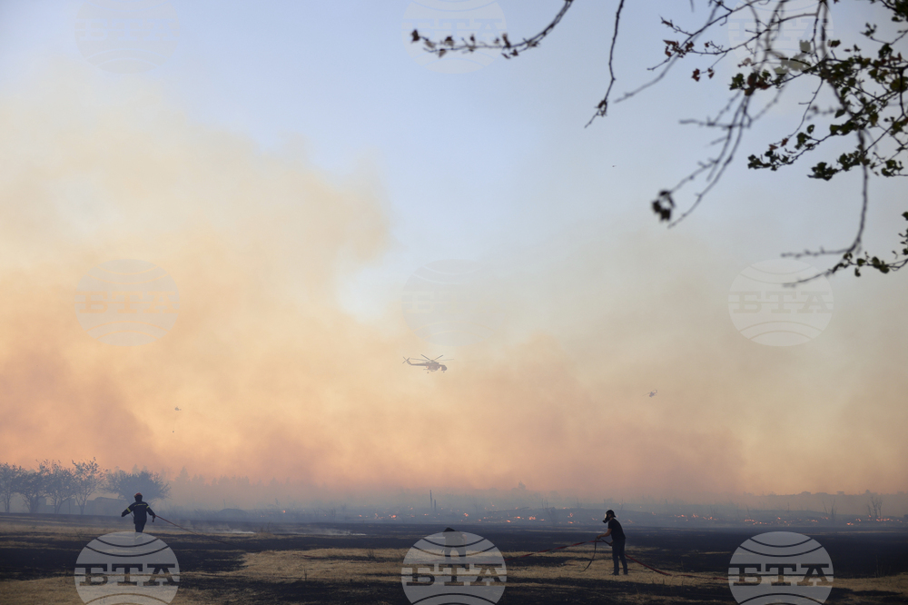 Greece Wildfire