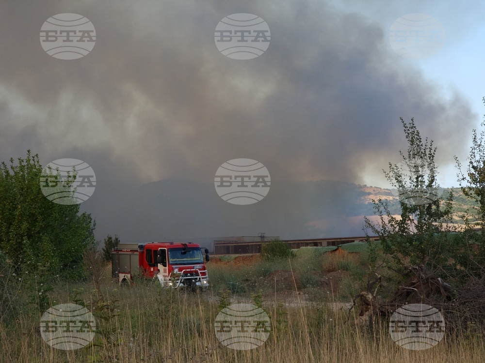 Пожар гори в района на Голямо село, община Бобов дол