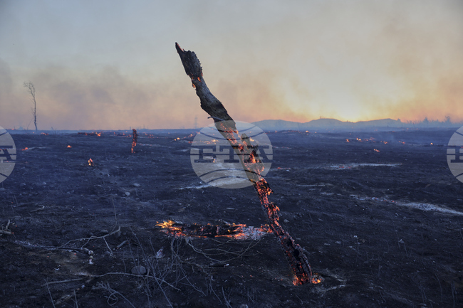 Горски пожар избухна в предградие на Атина; Гърция поиска помощ от Механизма за гражданска защита на ЕС