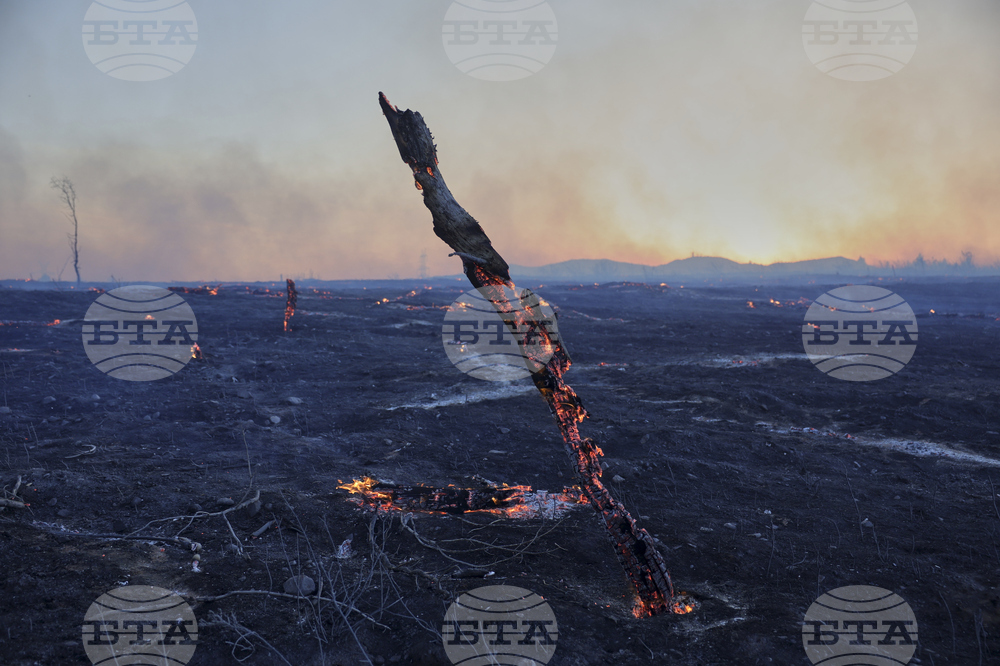 Greece Wildfire