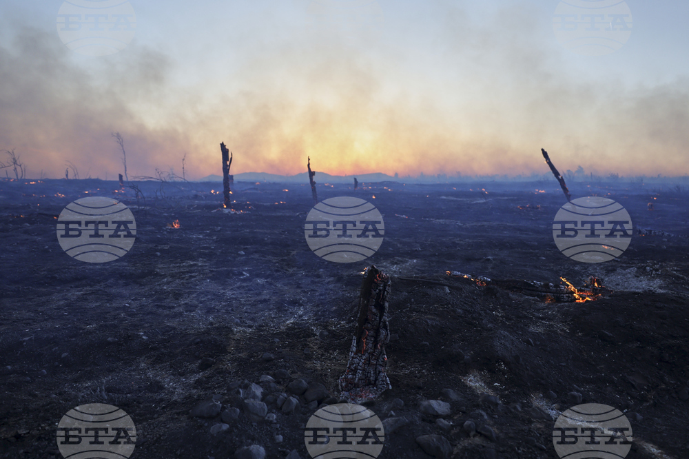 Greece Wildfire