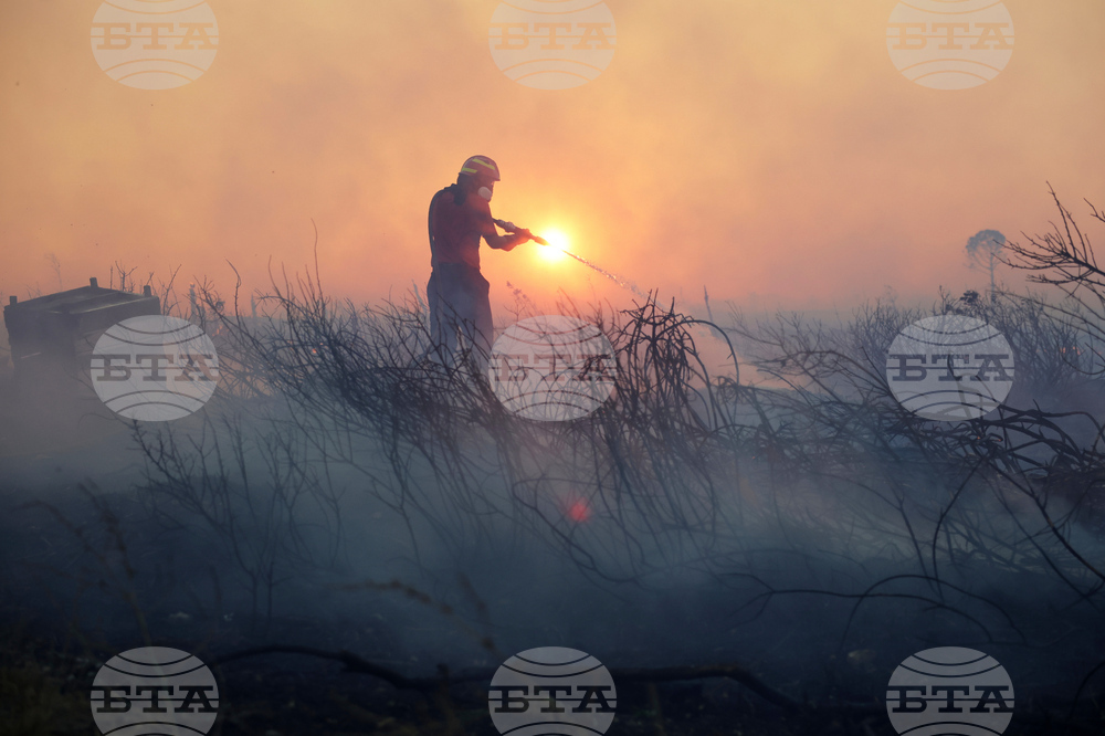 Greece Wildfire