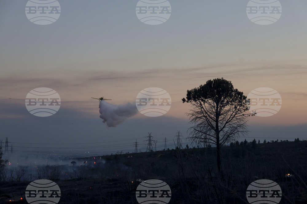 Пожарникари успяха да овладеят няколко пожара на остров Тасос