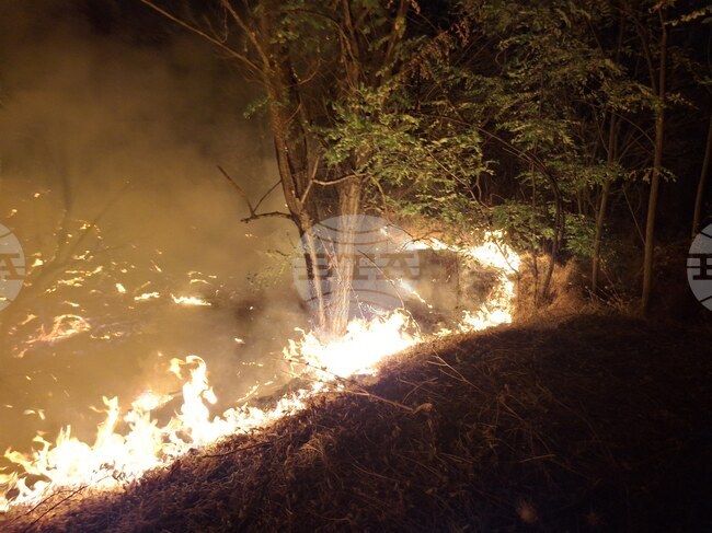 Три пожара са възникнали в близост до села в община Петрич, два от тях са овладяни