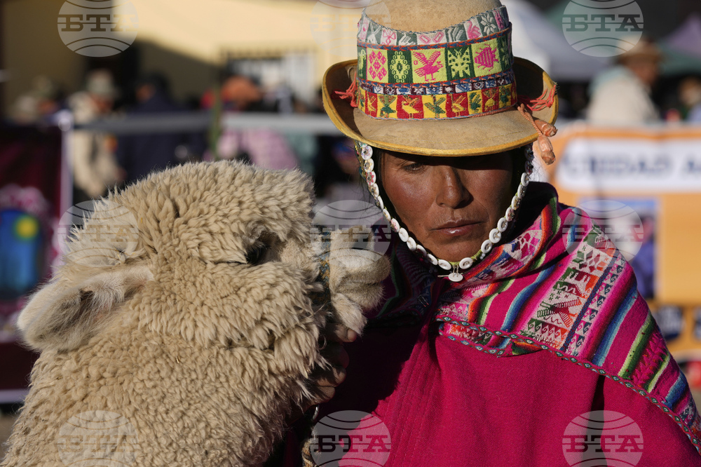 APTOPIX Bolivia Camelid Fair