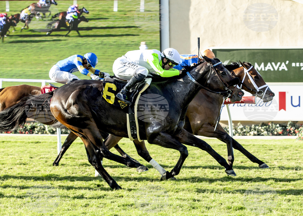 Del Mar Horse Racing