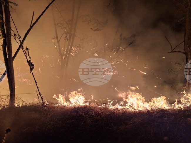 Рано сутринта пожарът между петричките села Марикостиново и Дрангово е започнал да се разраства, каза областният управител 