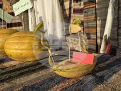 Село Българево - Празник на пъпеша