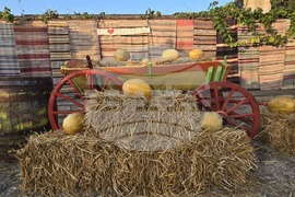 Село Българево - Празник на пъпеша