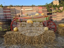 Село Българево - Празник на пъпеша