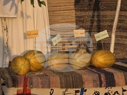 Село Българево - Празник на пъпеша