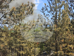 Село Илинденци - пожар