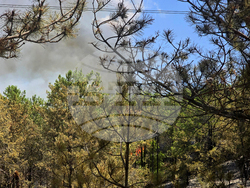 Село Илинденци - пожар