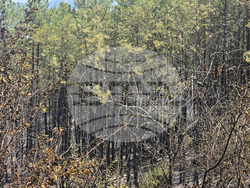 Село Илинденци - пожар