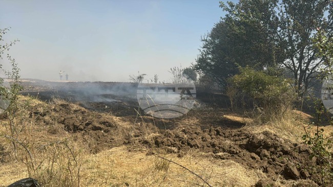 Nikolovo Fire Affects Pine Forest and Maize Crops; Firebrakes Cut to Protect Military Plant
