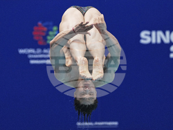 Singapore Swimming Worlds