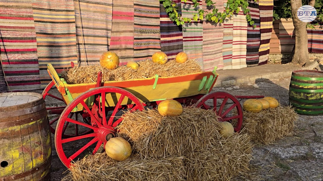 Седемнадесето издание на празника на пъпеша се провежда в каварненското село Българево