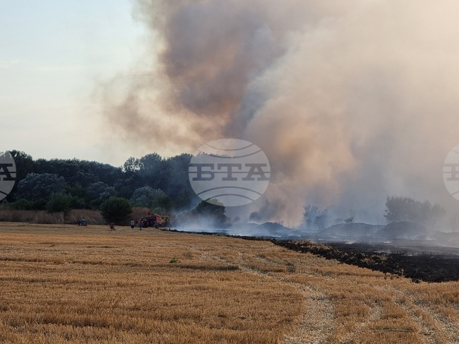 Втори пожар гори в Ямболско - между селата Джинот, Търнава и Могила, няма опасност за населените места