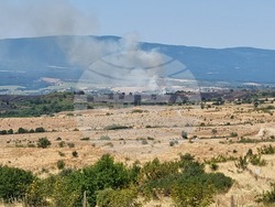 Село Лесово - пожар - брифинг