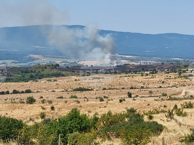 Тлеещите огнища на пожара край елховските села Мелница и Гранитово се наблюдават с дрон, каза областният управител на Ямбол