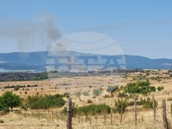 Село Лесово - пожар - брифинг