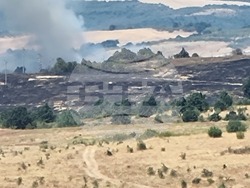 Село Лесово - пожар - брифинг