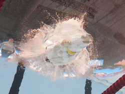 Singapore Swimming Worlds