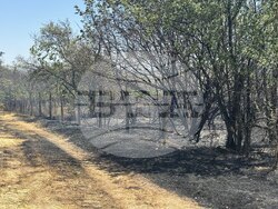 Снимка: Община Русе