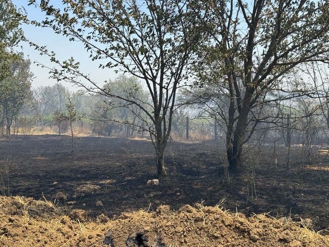 Община Русе: Критичната ситуация с пожара в с. Николово е овладяна, продължава гасенето в отделни участъци