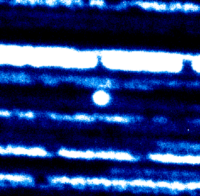 Новооткритата комета 3I/ATLAS се наблюдава от телескопи на НАО Рожен