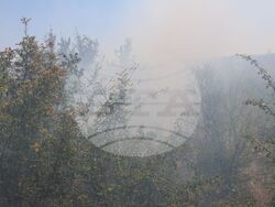 Снимка: Областна администрация Русе 